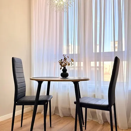 New Business-class In Center Apartment *